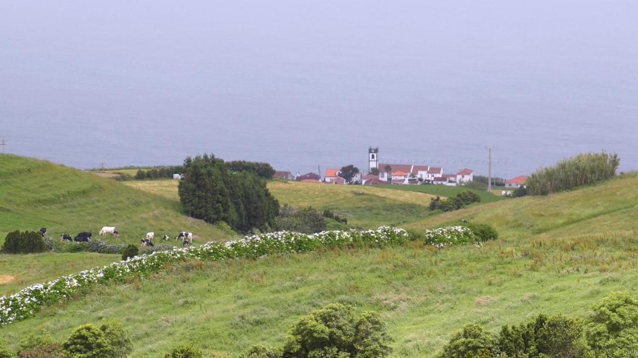 Resilience House Villa Feteira Grande Dış mekan fotoğraf